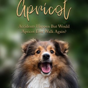 Super Shelties: Apricot